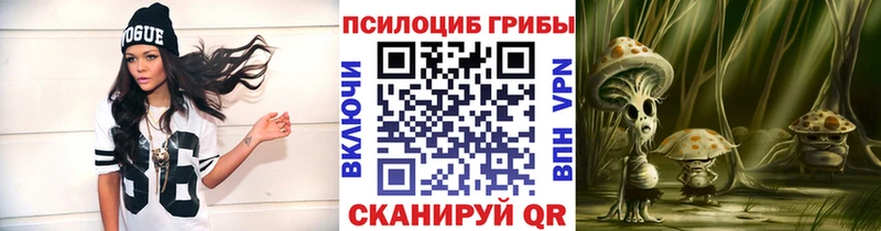 как найти закладки  Нальчик  Псилоцибиновые грибы Psilocybine cubensis 